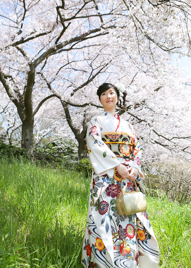さいたま市大宮のフォトスタジオラヴューでは春の桜ロケーション撮影が大変人気です。